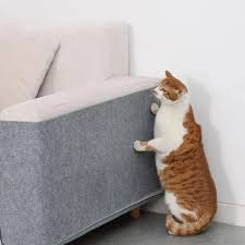Rascador adhesivo para Gatos - Protege tus Muebles